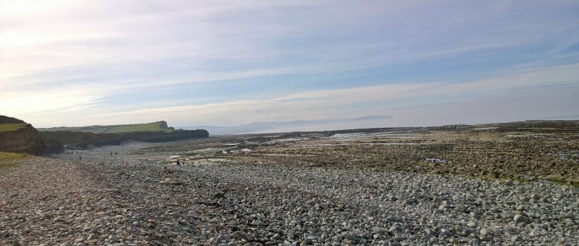 WP_20160312_14_15_06_Pro (1)